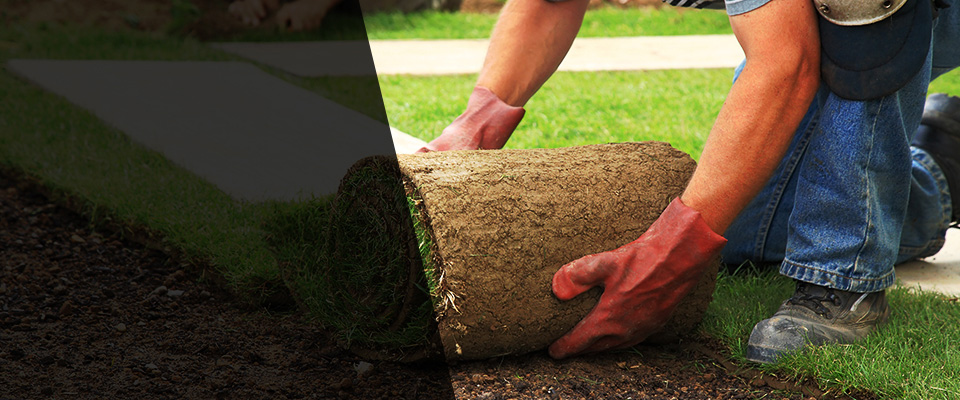 La Fayette Landscapers